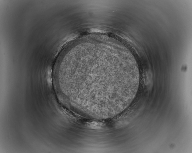 X0000098160512200805011434
