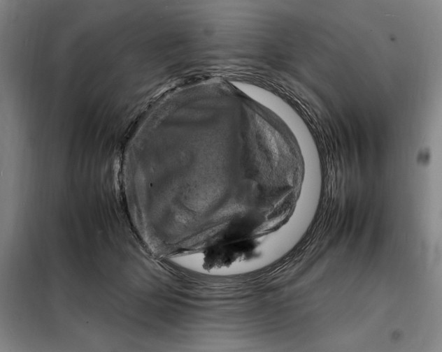 X0000098160514200805011434