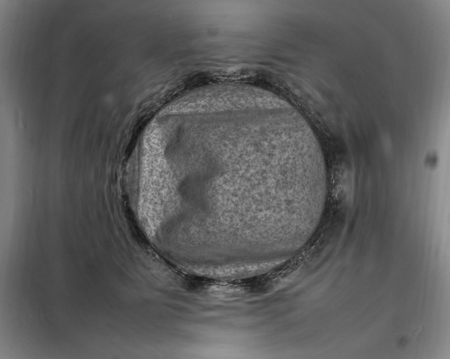 X0000098160515200805011434