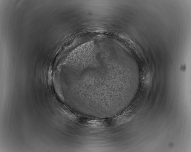 X0000098160516200805011434