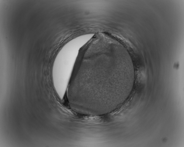 X0000098160517200805011434