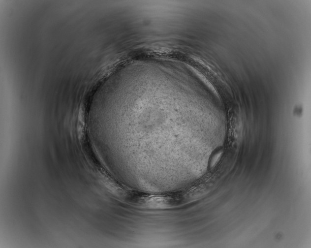 X0000098160518200805011434