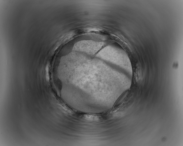 X0000098160520200805011434
