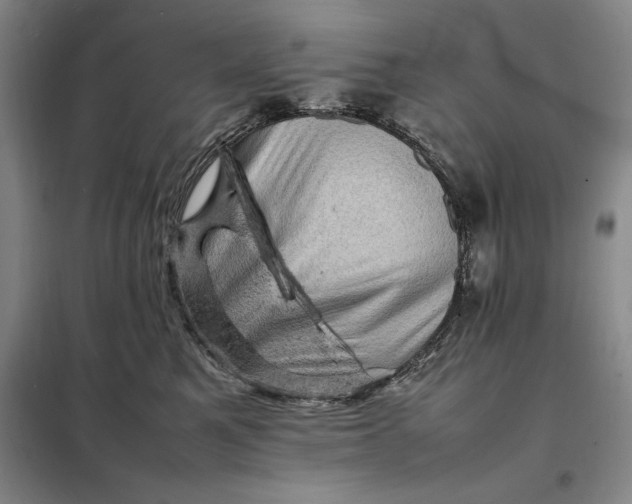 X0000098160521200805011434