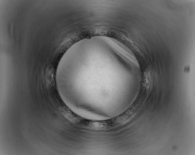 X0000098160522200805011434