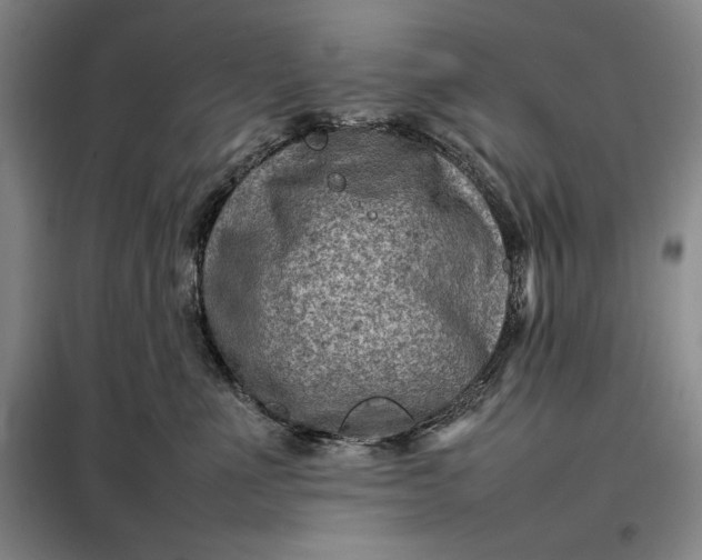 X0000098160523200805011434