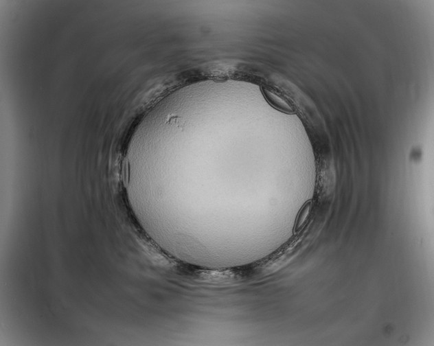 X0000098160525200805011434