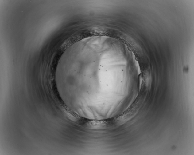 X0000098160526200805011434
