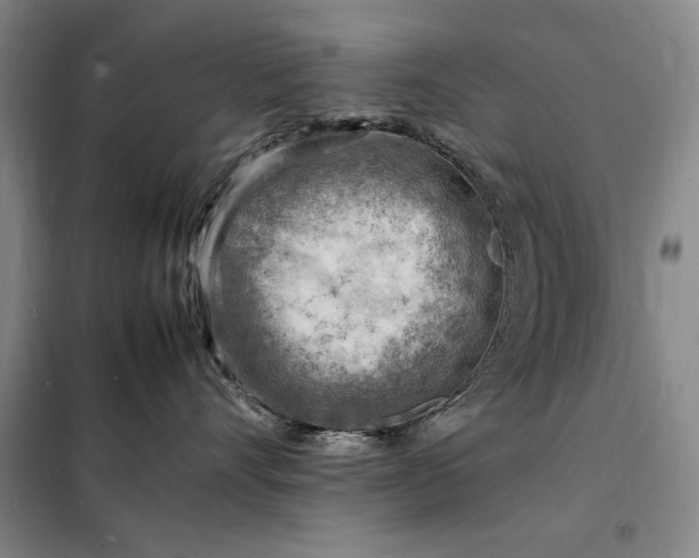 X0000098160528200805011434
