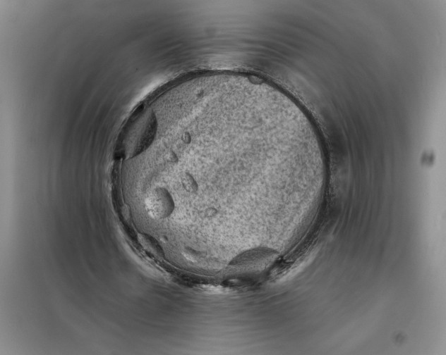 X0000098160530200805011433