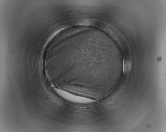 X0000098160531200805011433