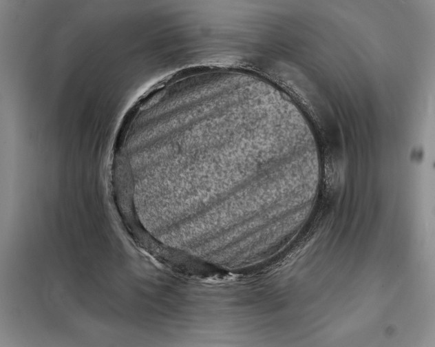 X0000098160532200805011433
