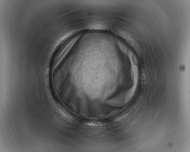 X0000098160535200805011433