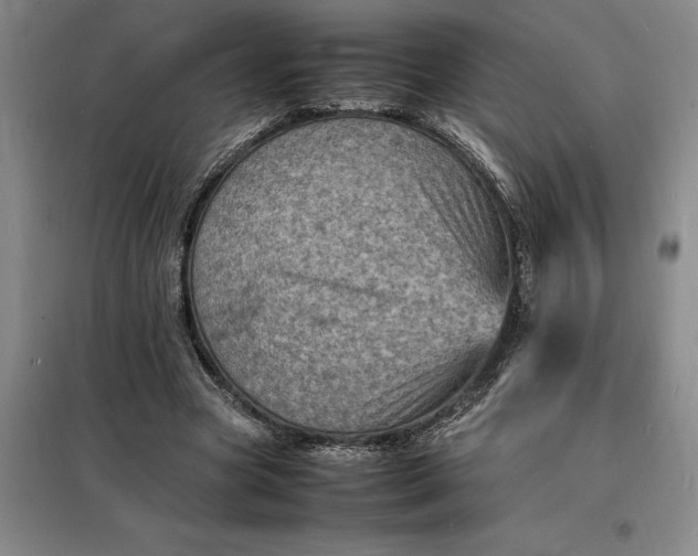 X0000098160537200805011433
