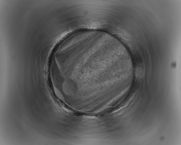 X0000098160540200805011433
