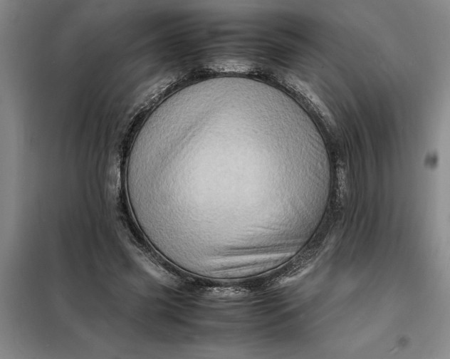 X0000098160541200805011433