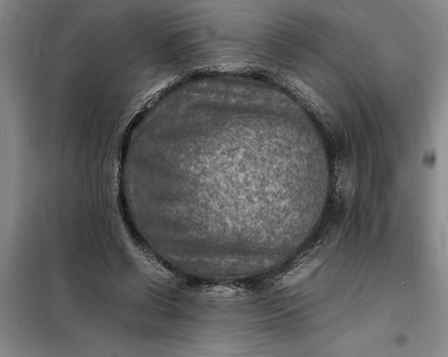 X0000098160542200805011433