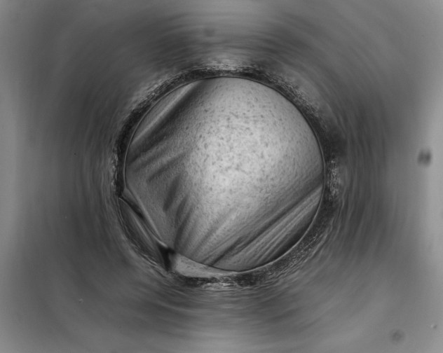 X0000098160544200805011433
