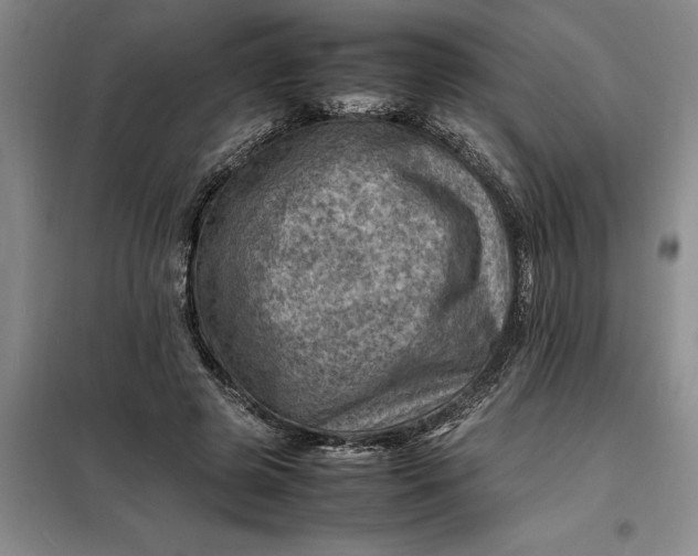 X0000098160545200805011433
