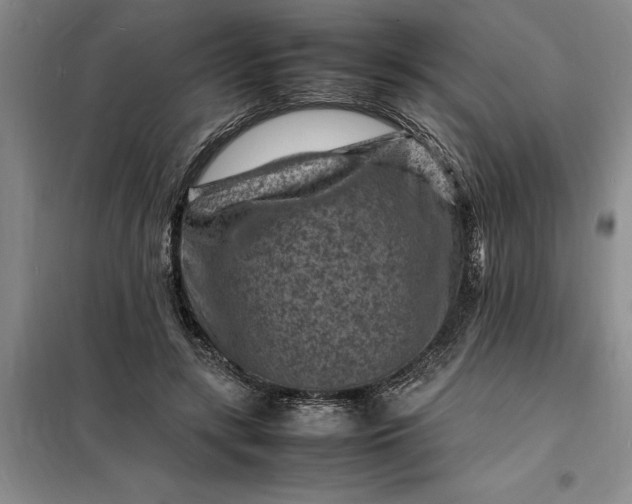 X0000098160547200805011433