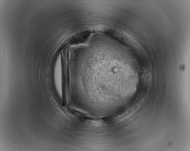 X0000098160548200805011433