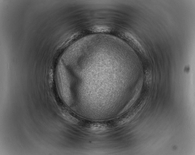 X0000098160549200805011433