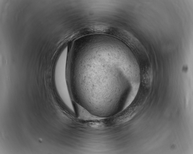 X0000098160552200805011433