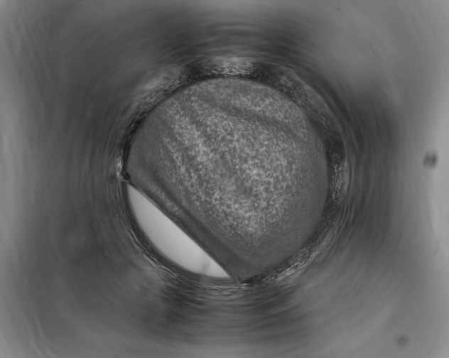 X0000098160553200805011433