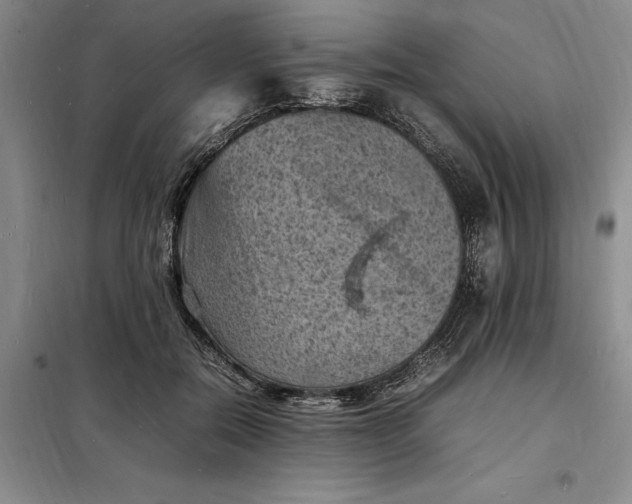 X0000098160554200805011433