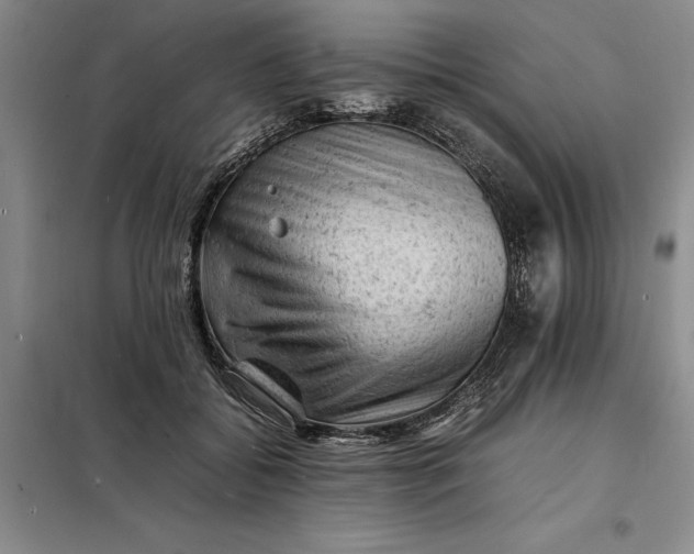 X0000098160556200805011433