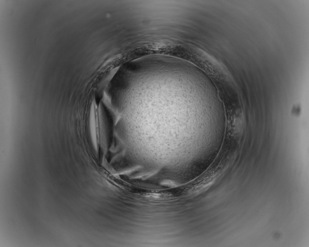 X0000098160558200805011433