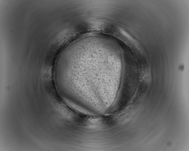 X0000098160560200805011433