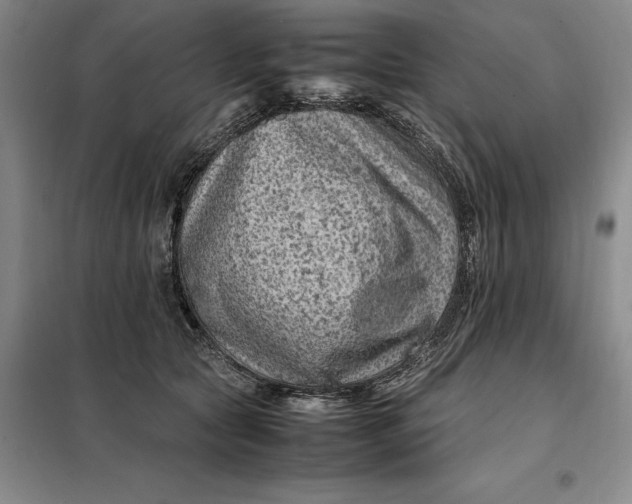 X0000098160561200805011433