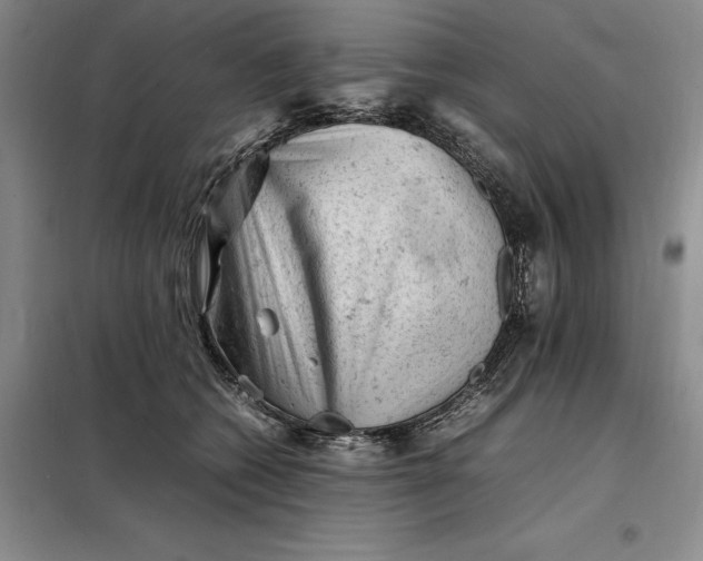 X0000098160562200805011433