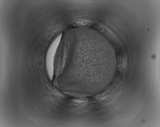 X0000098160563200805011433