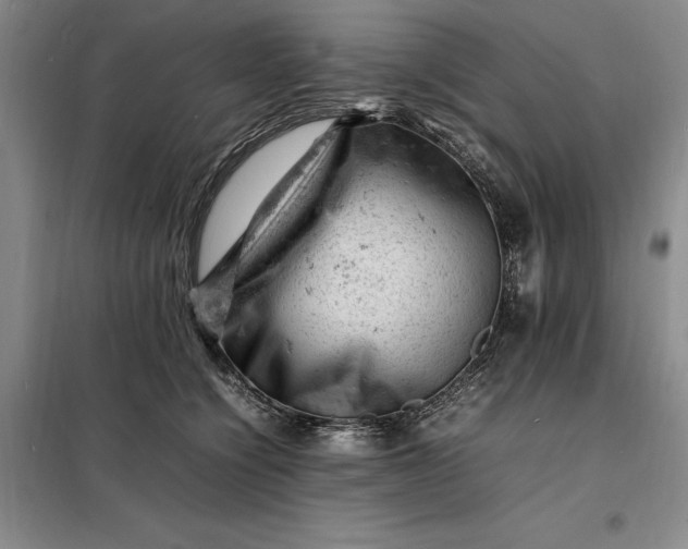 X0000098160564200805011433