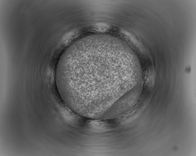 X0000098160568200805011433
