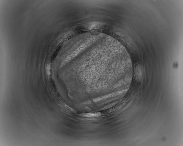 X0000098160571200805011433