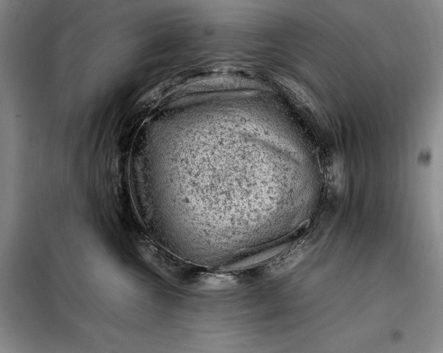 X0000098160572200805011433