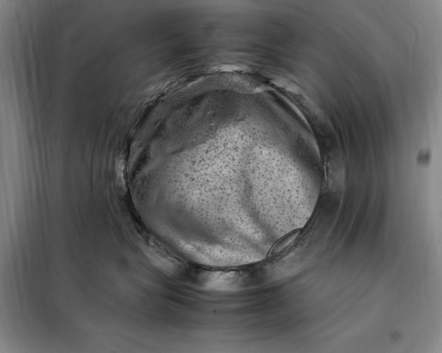 X0000098160575200805011433