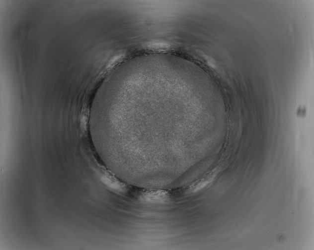X0000098160576200805011434