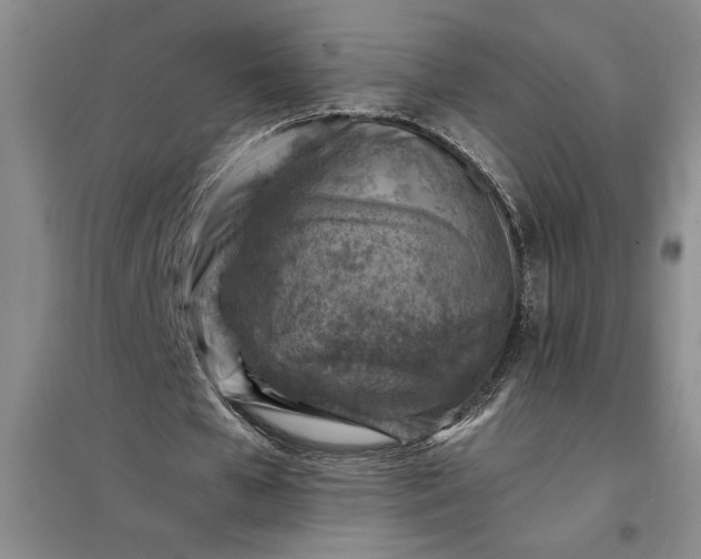 X0000098160577200805011433