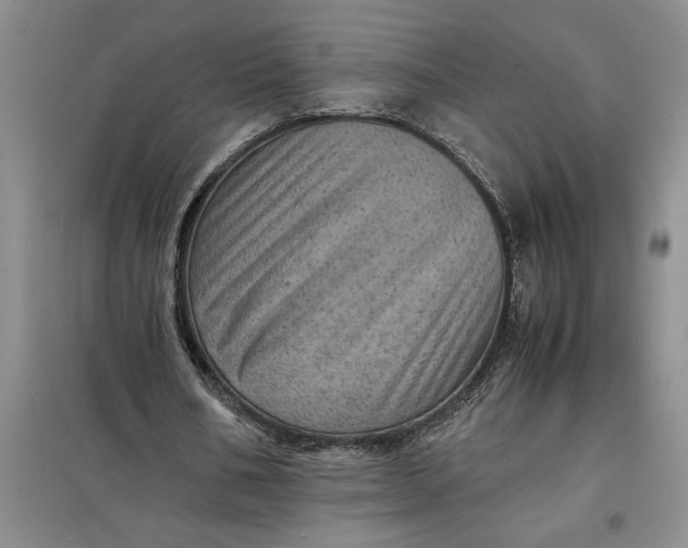 X0000098160578200805011433