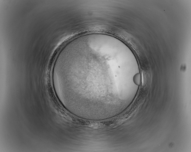 X0000098160579200805011433
