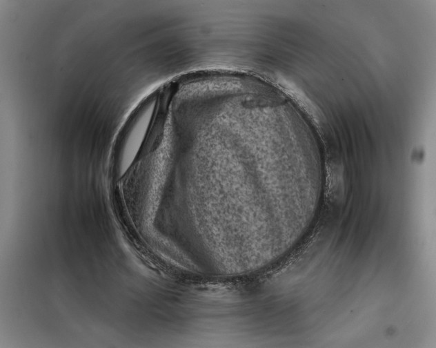 X0000098160580200805011433