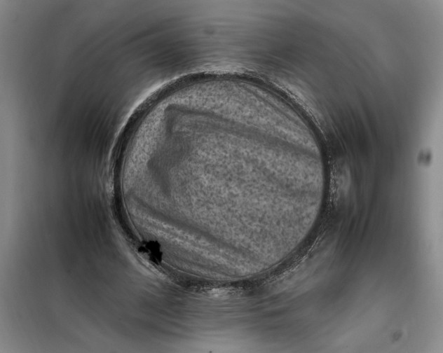 X0000098160584200805011433