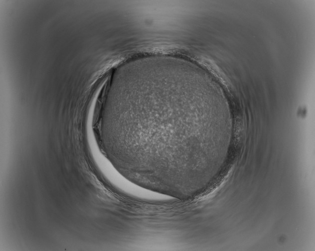X0000098160585200805011433