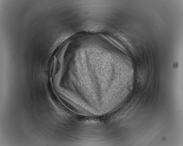 X0000098160586200805011433