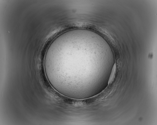X0000098160587200805011433