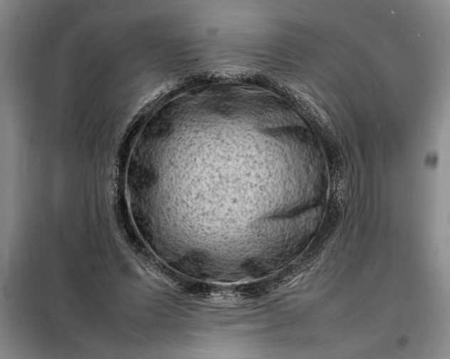 X0000098160591200805011433